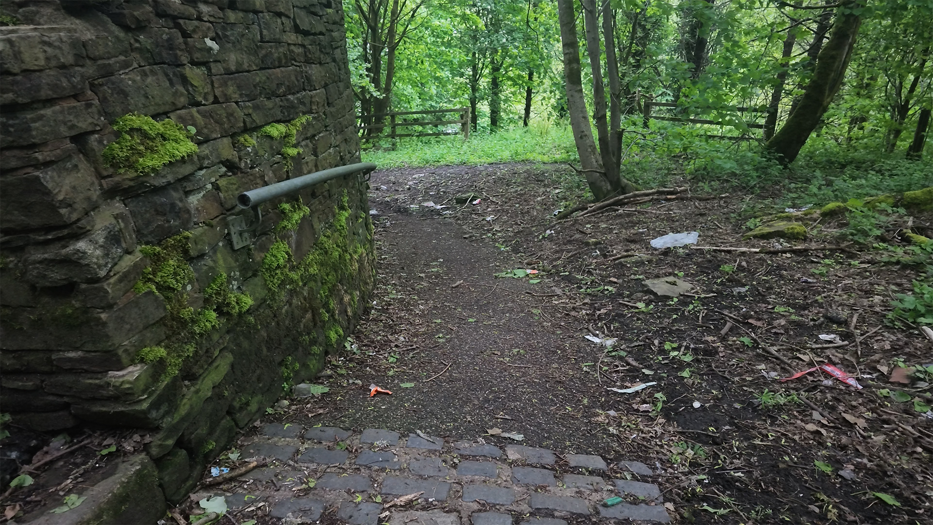 Woodland