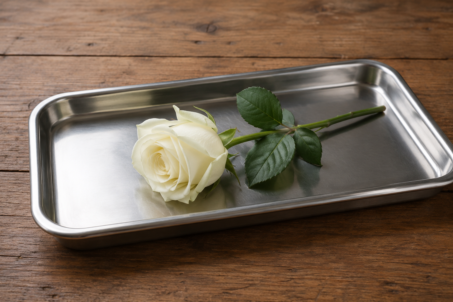 White Rose